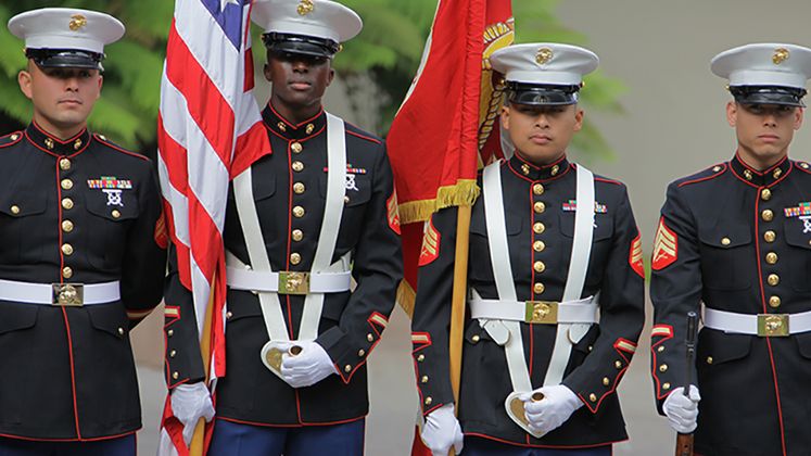 Veterans Day