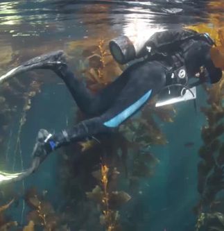 Reef Check and Edison International