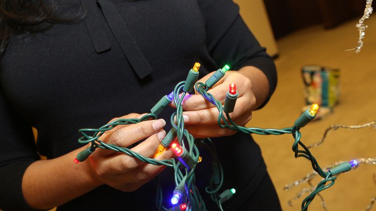 Holiday Lighting Safety