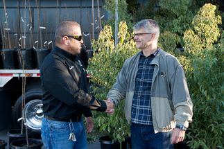 Tree Donations 