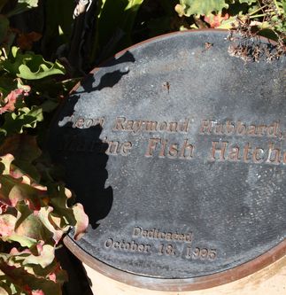 Hubbs-SeaWorld Research Institute