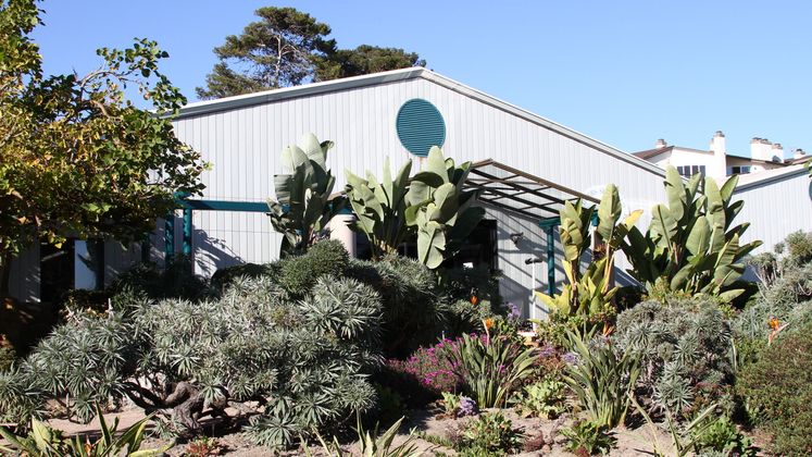 Hubbs-SeaWorld Research Institute