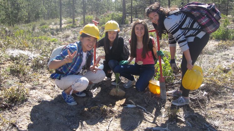 Youth Volunteers 