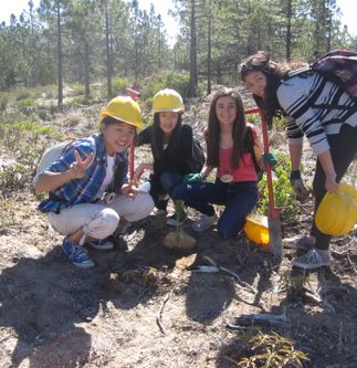 Youth Volunteers 