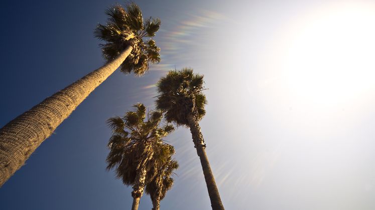 summer heat