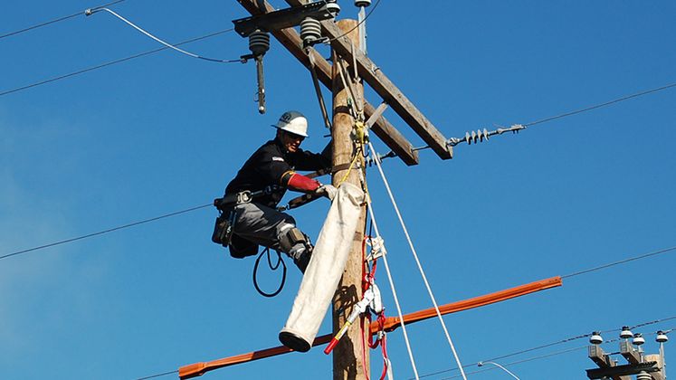 Lineman Rodeo