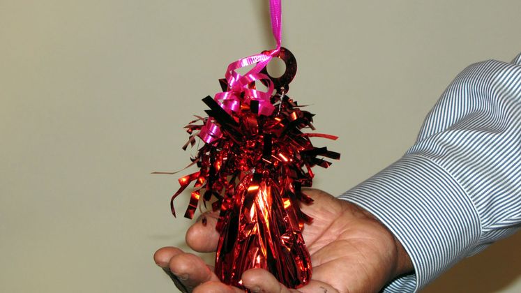 Mylar Balloons