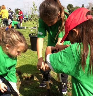Tree Planting - South Gate