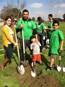 Tree Planting - South Gate