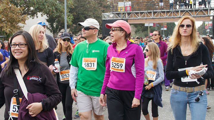 HomeWalk 2014
