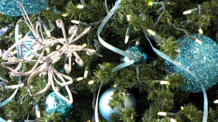 Holiday Safety