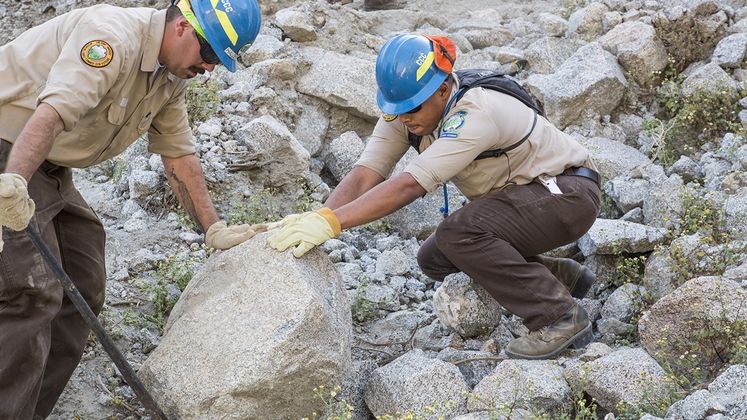 California Conservation Corps Veterans Program 