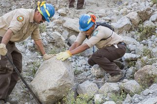 California Conservation Corps Veterans Program 