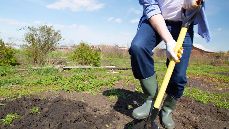 Safety and Digging