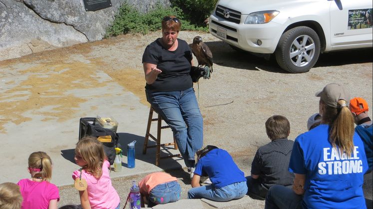 SCE's Science Days