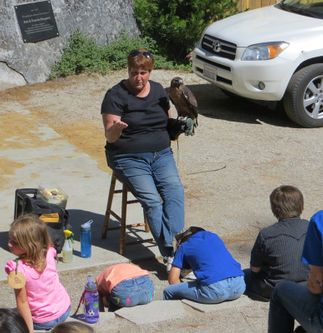 SCE's Science Days