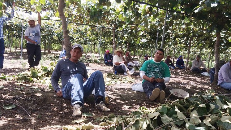 Electrical safety and farm workers