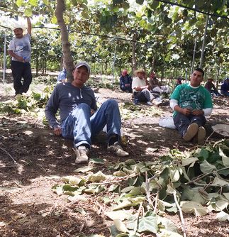 Electrical safety and farm workers