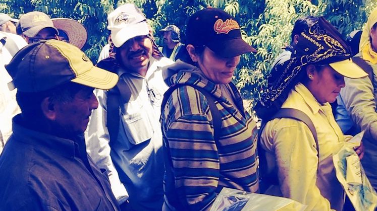 Electrical safety and farm workers
