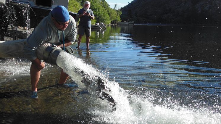 SCE Trout Stocking