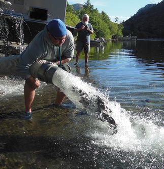 SCE Trout Stocking