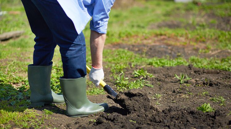 National 811 Dig Day
