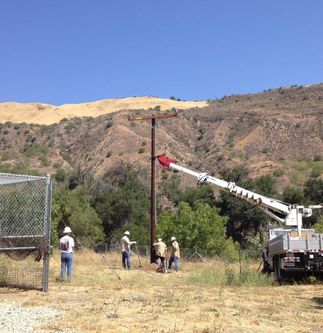 Condor Recovery Program