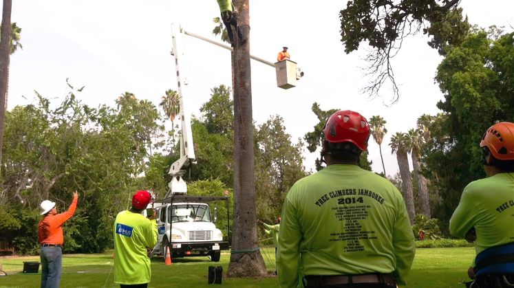 SCE and Hispanic Arborist Association