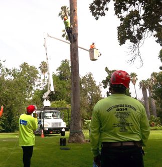 SCE and Hispanic Arborist Association