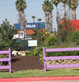 urban forest project