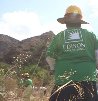 National Forest Foundation
