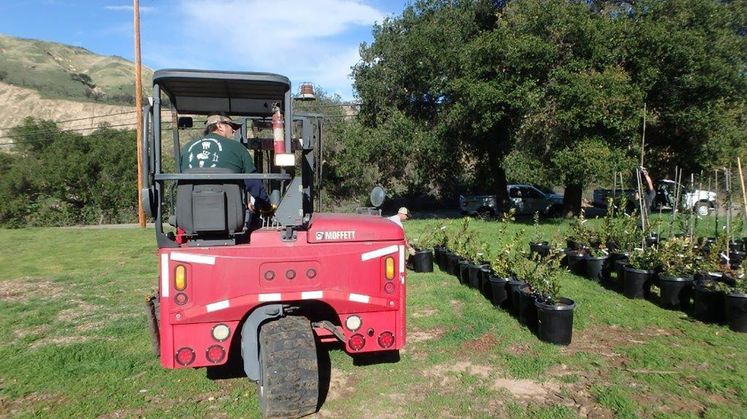 tree donations to Santa Barbara