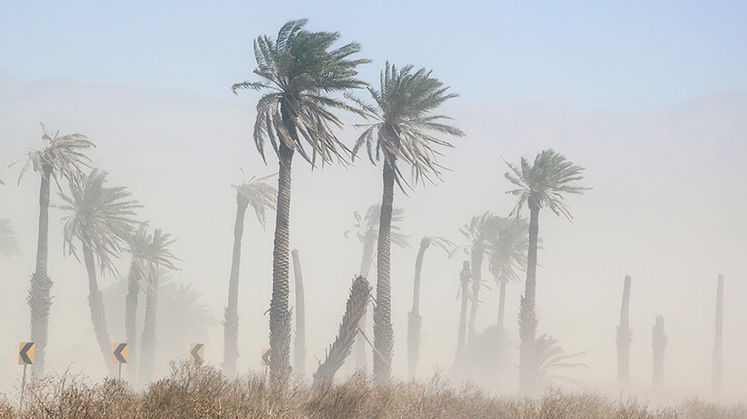 Santa Ana winds