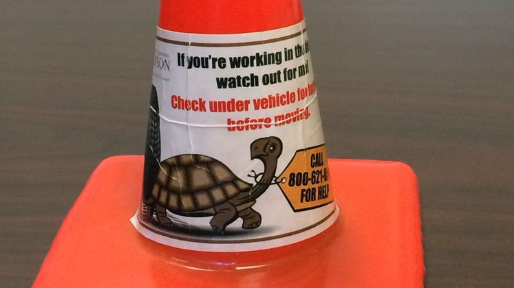 Tortoise Safety Cone