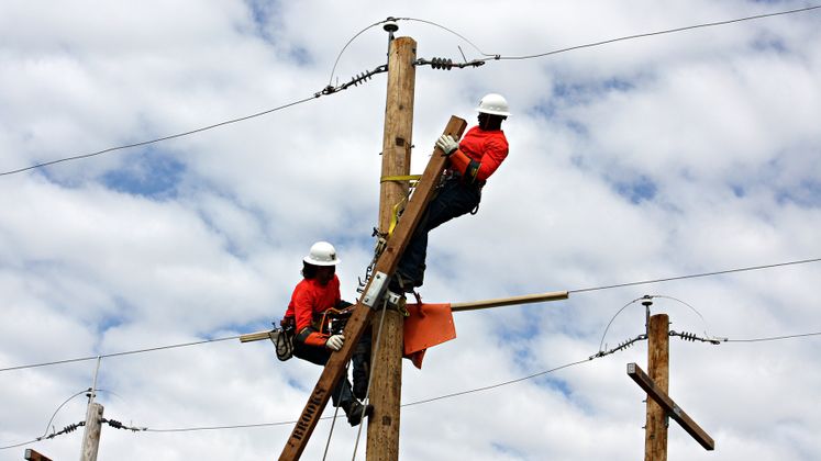 Lineman's Rodeo 2015