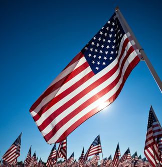 Veterans Day