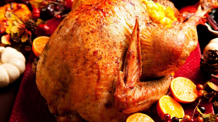 Thanksgiving Feast