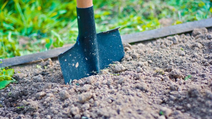 Shovel Breaking Ground