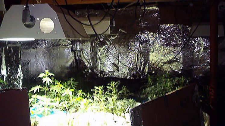 Grow Houses Can Be Electrical Fire Hazards