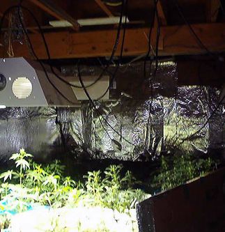Grow Houses Can Be Electrical Fire Hazards