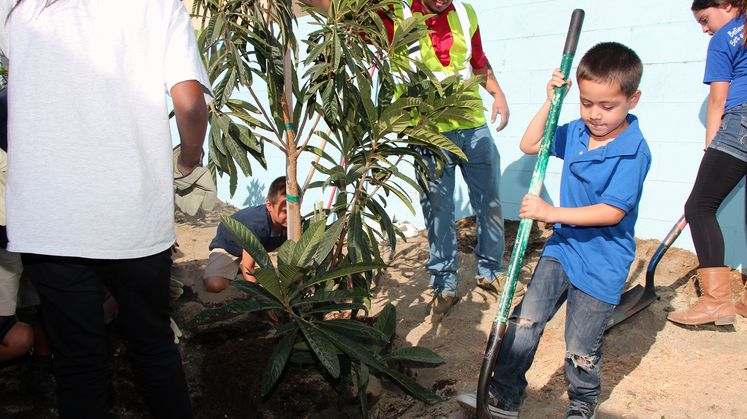 Palm Springs Tree Donations - Arbor Day