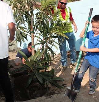 Palm Springs Tree Donations - Arbor Day