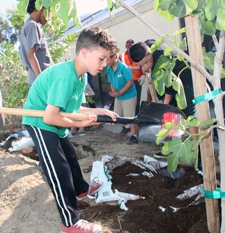 Palm Springs Tree Donations - Arbor Day