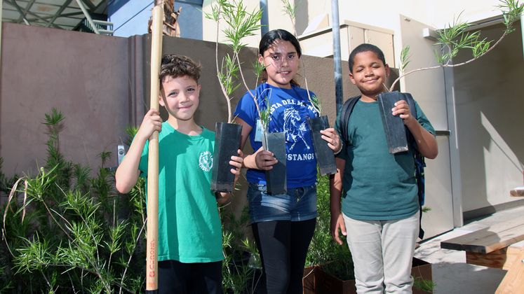 Palm Springs Tree Donations - Arbor Day