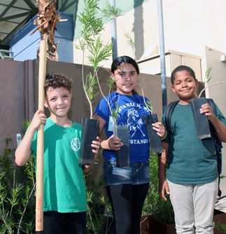 Palm Springs Tree Donations - Arbor Day
