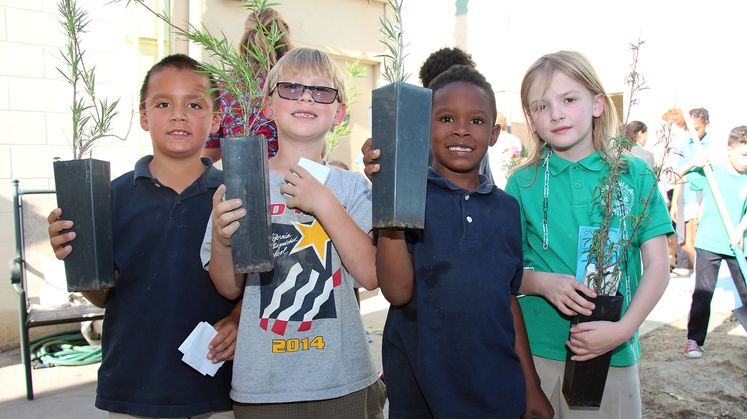 Palm Springs Tree Donations - Arbor Day