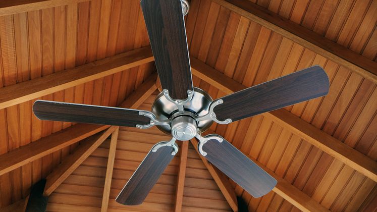 Earth Day - energy efficiency