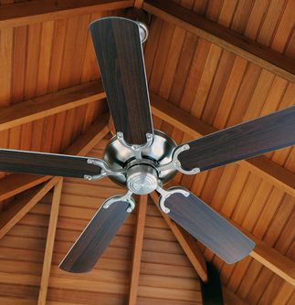Earth Day - energy efficiency