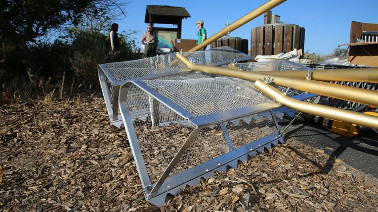Earth Day - Park Cleanup