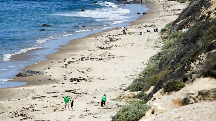 Earth Day - Park Cleanup